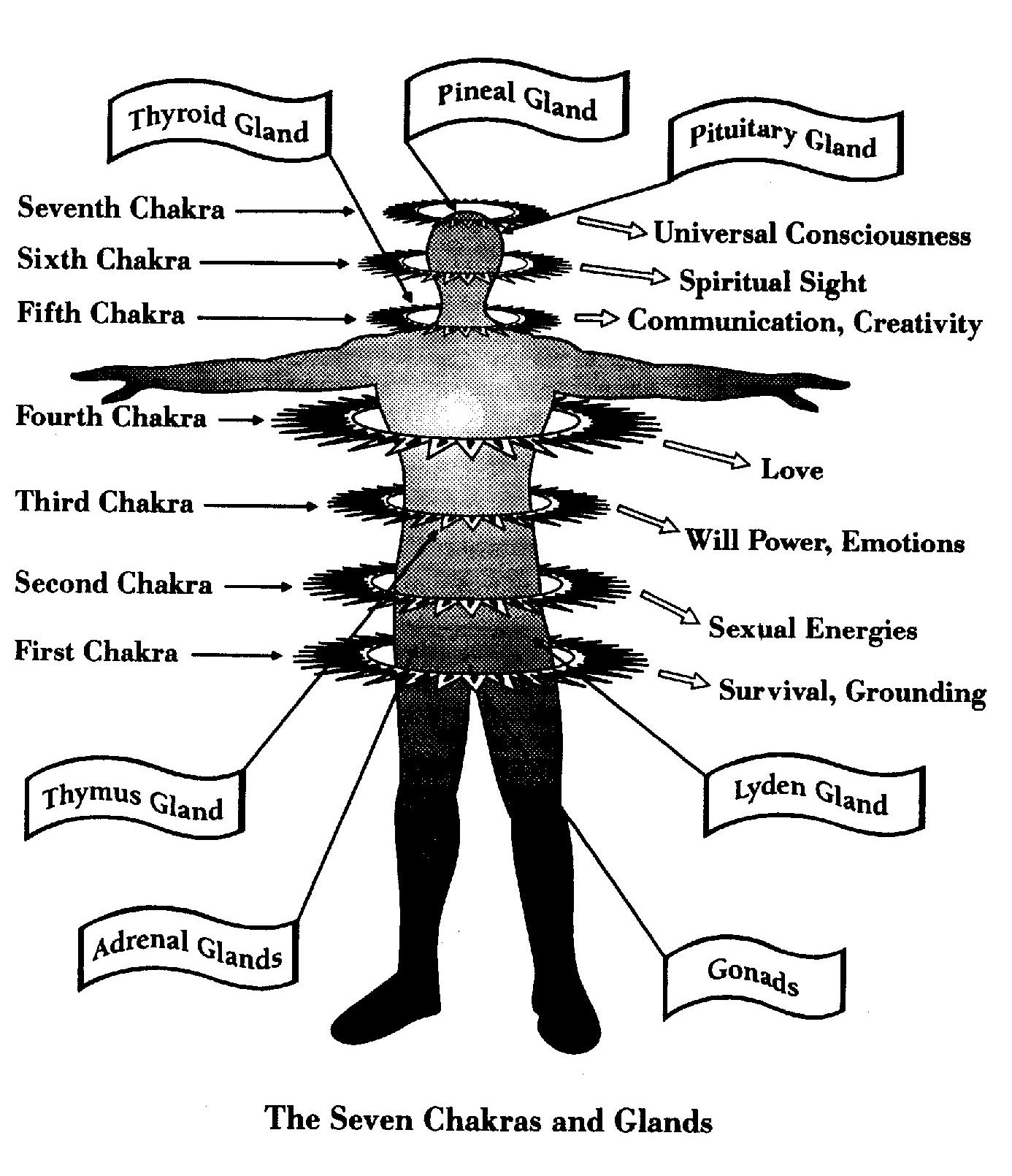 SO, WHO ARE WE … REALLY? Part I – Pathway to Ascension Blog